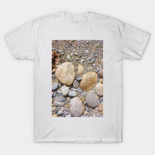 stones T-Shirt